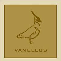 Vanellus